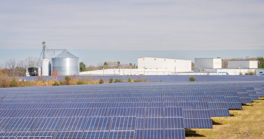 Agroenergia — program dopłat NFOŚiGW dla rolnika