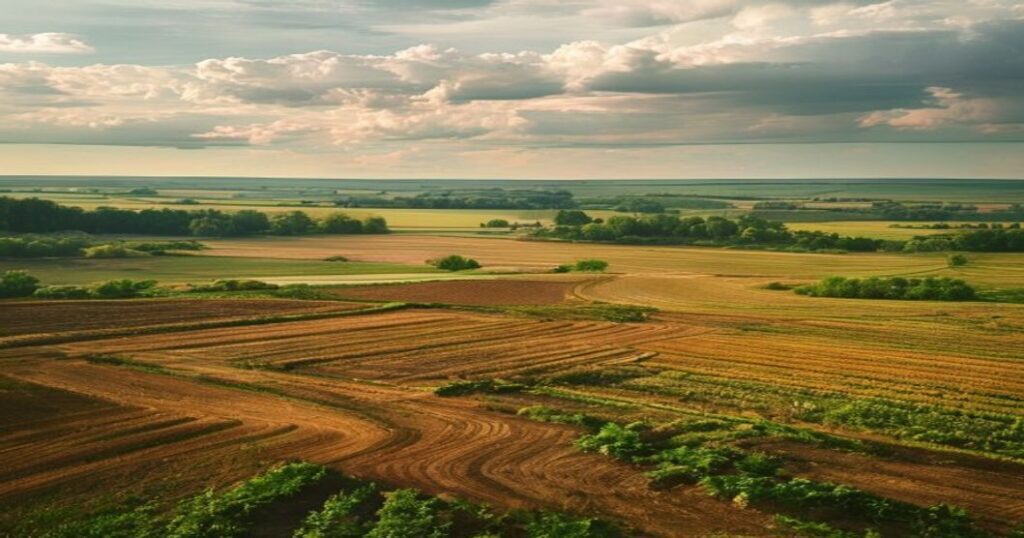 Dzierżawa ziemi rolnej — umowa, czynsz i podatki