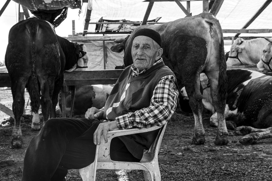 Ulga inwestycyjna w podatku rolnym – na co przysługuje i jak ją uzyskać